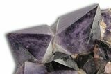 Deep Purple Amethyst Crystal Cluster With Huge Crystals #250743-3